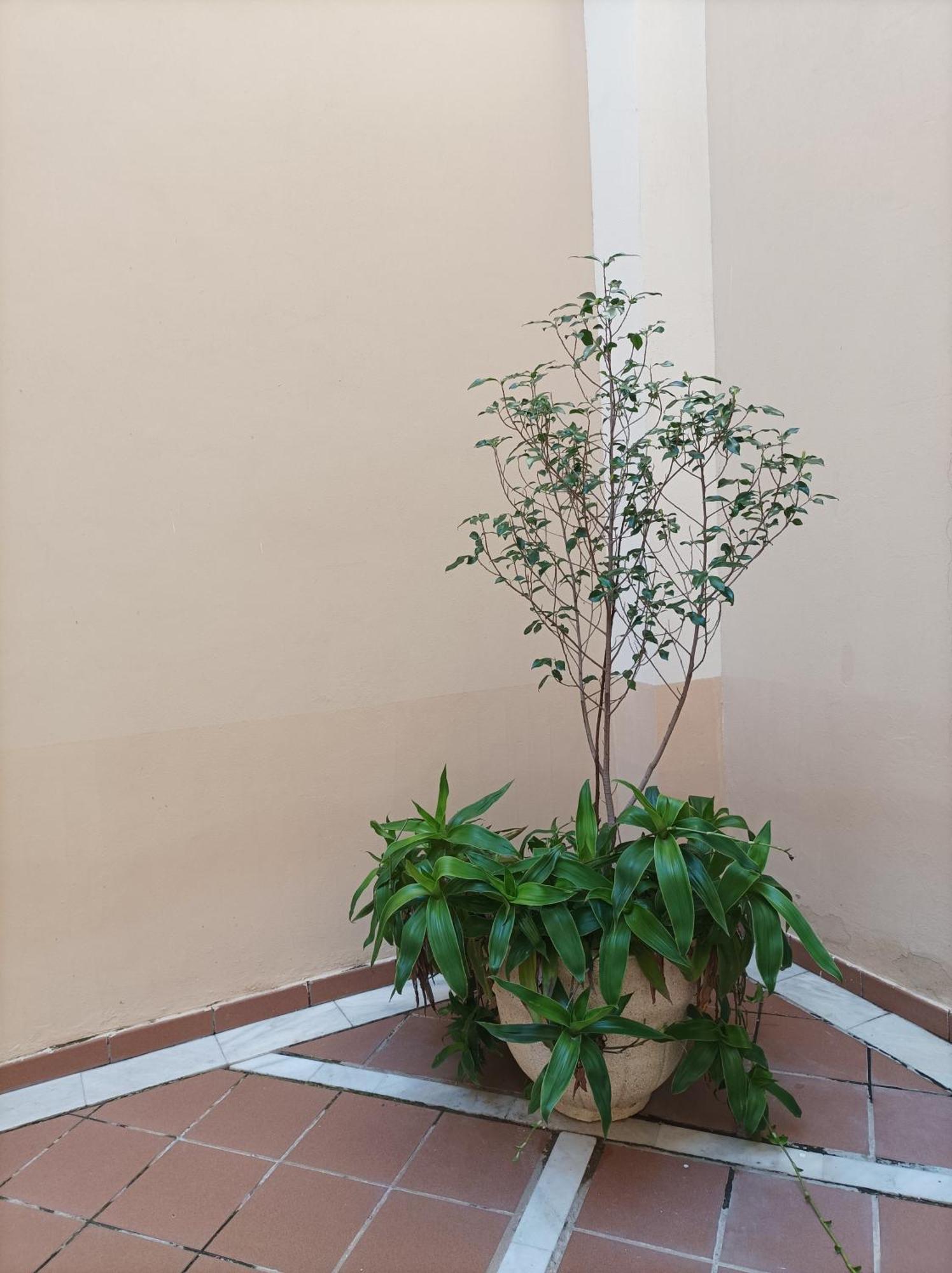 Apartamento De Lux Sevilla Este Exterior photo